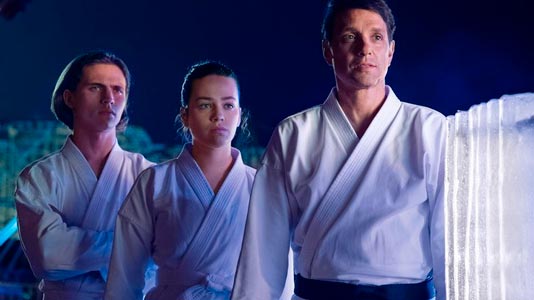 Сериал Кобра Кай - Netflix и история с карате